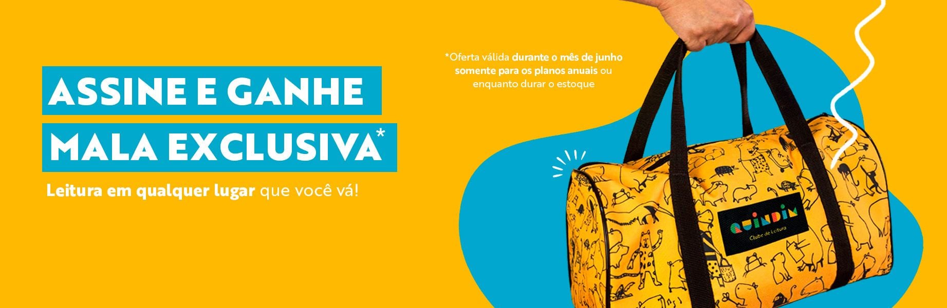 Clube Quindim - Banner da página de planos (desktop)