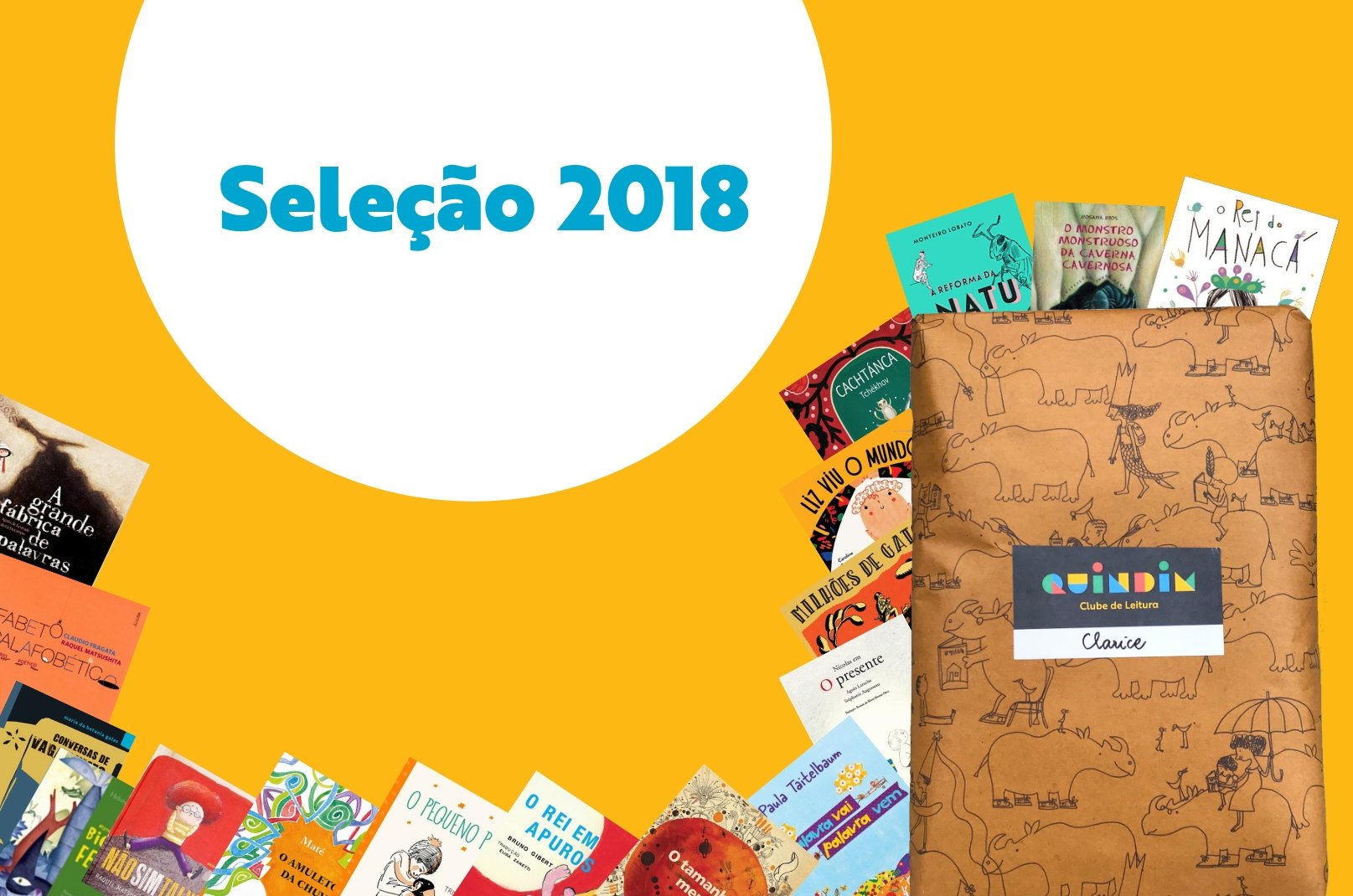 Conheça os livros infantis escolhidos pelo Clube Quindim em 2018