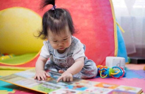 o livro brinquedo ajuda seu filho a ser um leitor capa