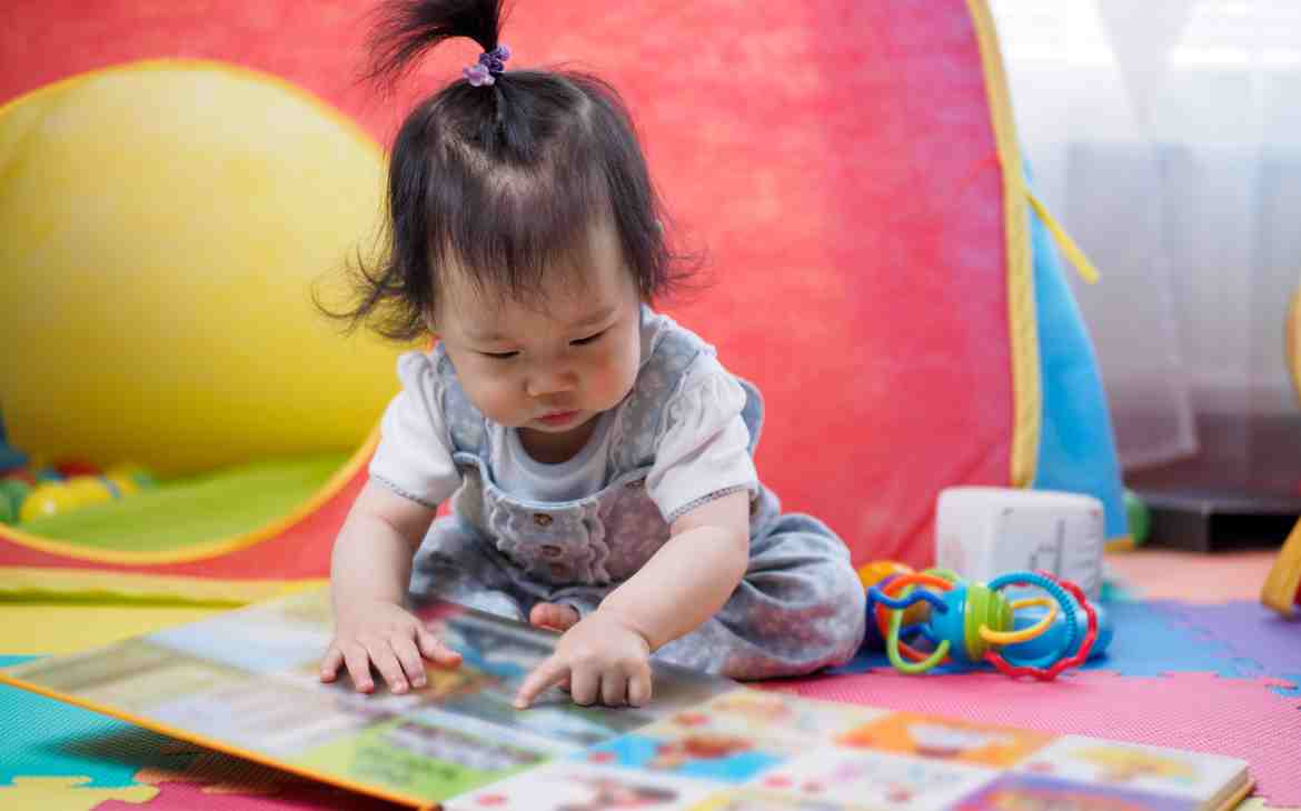 o livro brinquedo ajuda seu filho a ser um leitor capa