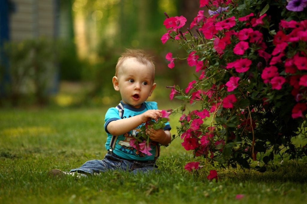 menino na grama com flores experiência sensorial