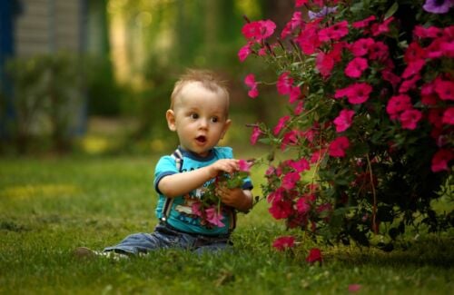 menino na grama com flores experiência sensorial