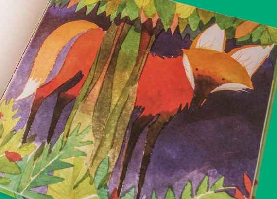 Biodiversidade flora e fauna brasileira presentes no livro infantil. Cade os bichos