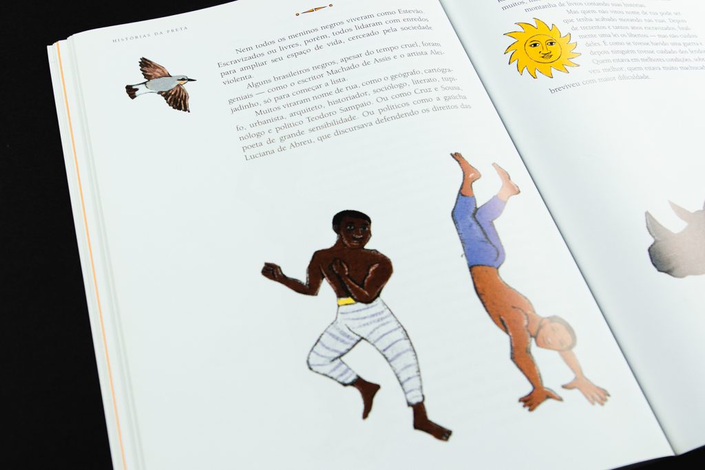 Flora e fauna brisileira: Biodiversidade brasileira: Laurabeatriz, ilustradora