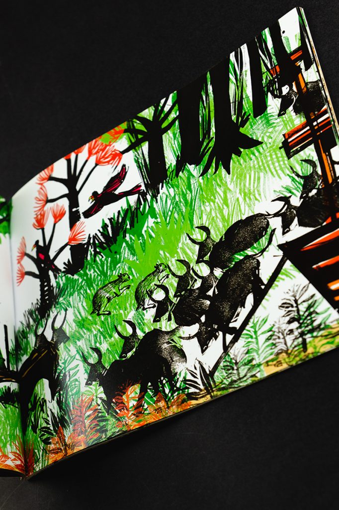 Biodiversidade: Flora e fauna brasileira: Fernando Vilela
