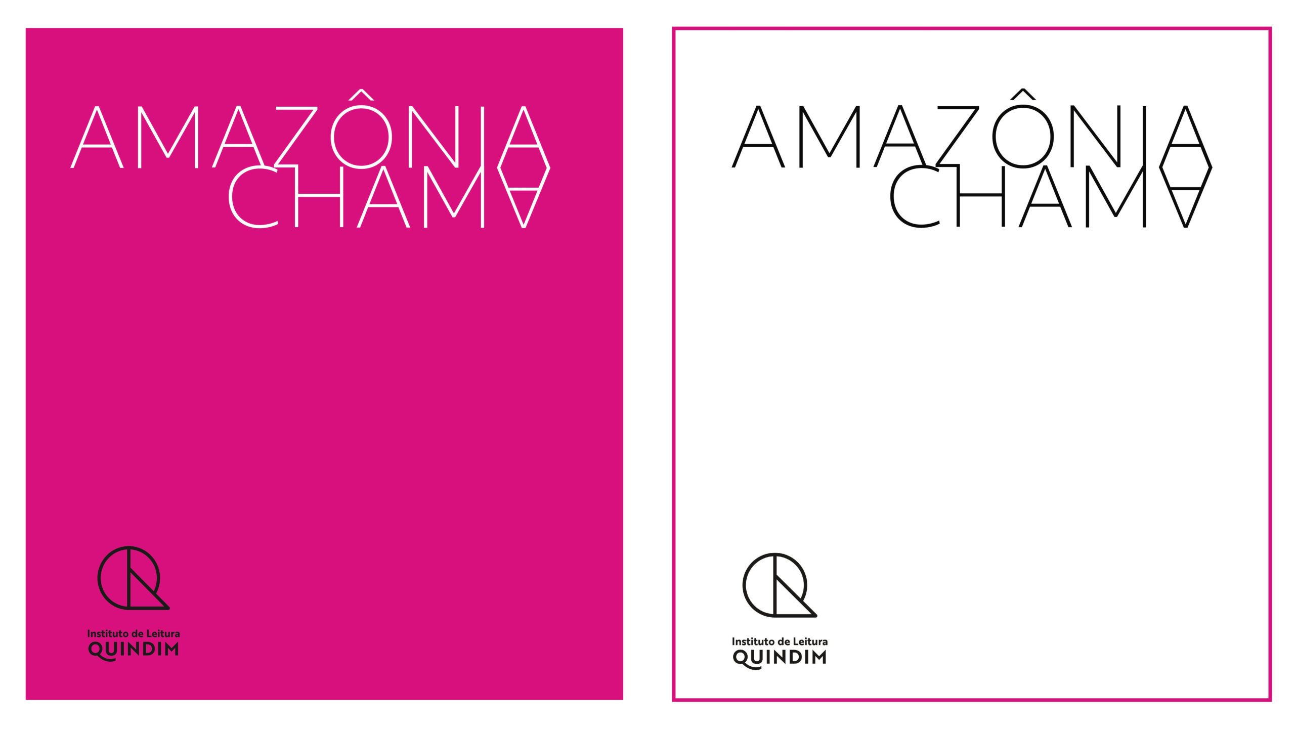 Instituto de Leitura Quindim lança o projeto Amazônia Chama