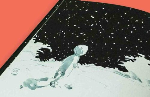 10 livros infantis para criancas de 3 a 5 anos capa. Imagem do livro Pedro e Lua