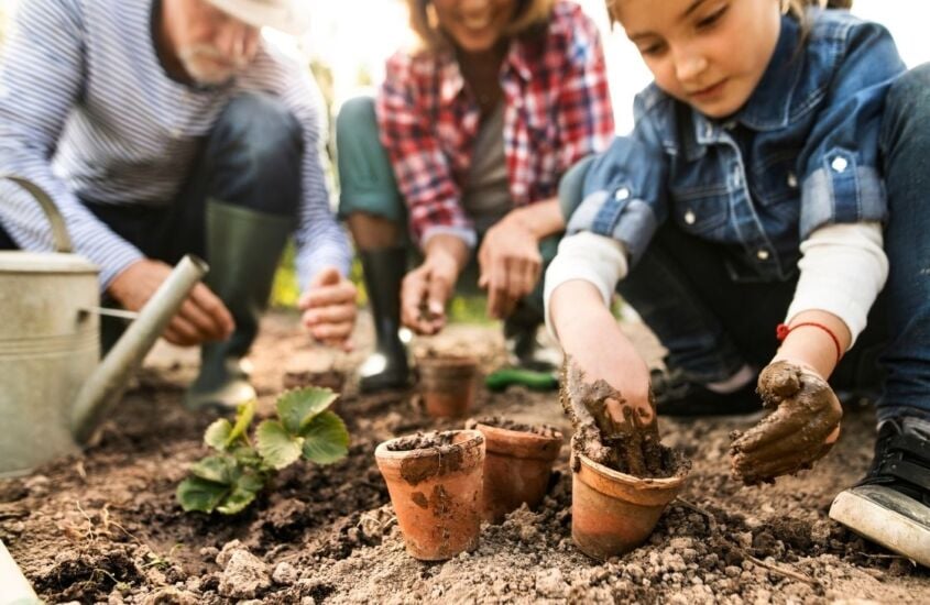 Horta para crianças: ensine seu filho a plantar e aproveite todos os benefícios da jardinagem!