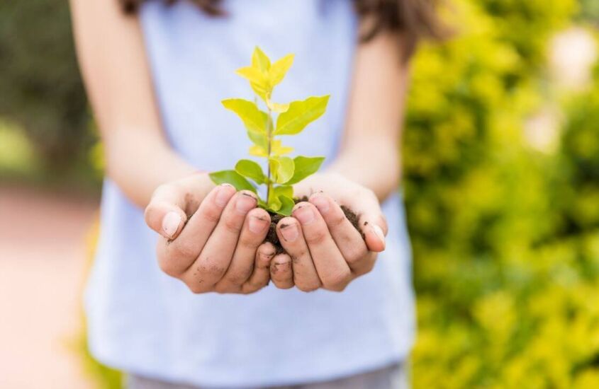 Como ensinar ações sustentáveis às crianças para melhorar o mundo