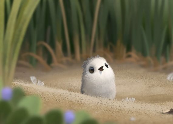 Curta metragem de animação. Piper