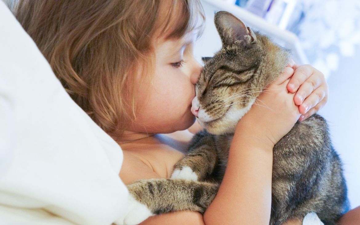 Pets, cuidar dos seus bichinhos nunca foi tão divertido