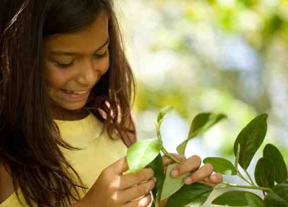 A importancia do contato com a natureza para as criancas
