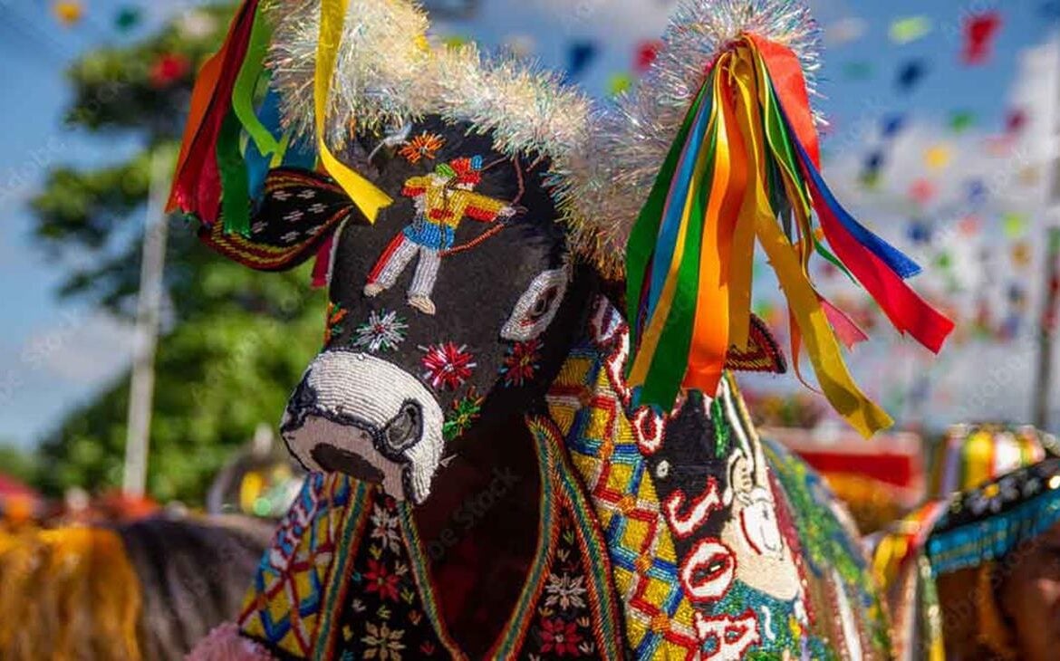 Bumba meu boi conheca a historia deste tradicional folguedo capa Copy