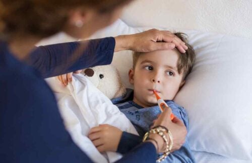 Doença do carrapato em crianças sintomas cuidados e prevenção da febre maculosa