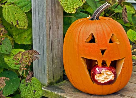 10 atividades e brincadeiras de Halloween para fazer em casa ou na escola meio1 1