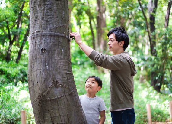 pai e filho na natureza