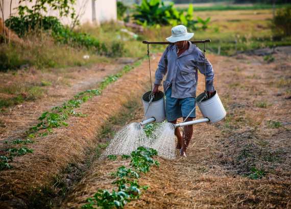 20 dicas para um dia a dia em família mais sustentável
Pequeno agricultor