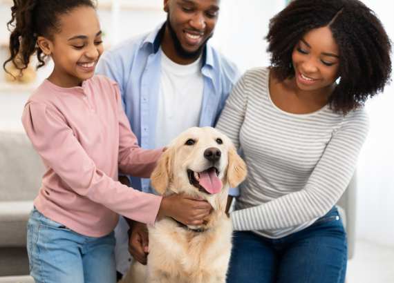 20 dicas para um dia a dia em família mais sustentável
Criança e cachorro