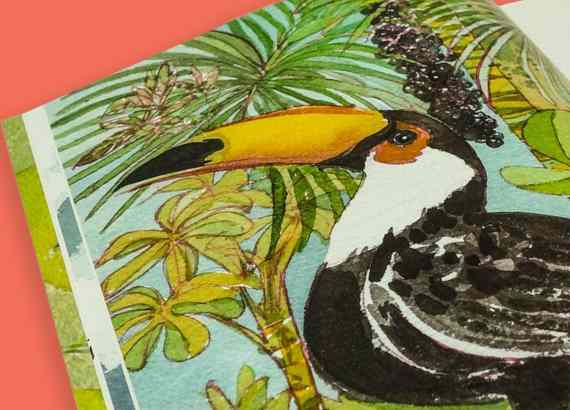 A importancia dos livros infantis sobre a fauna e flora brasileiras. Livro A perigosa vida dos passarinhos pequenos meio