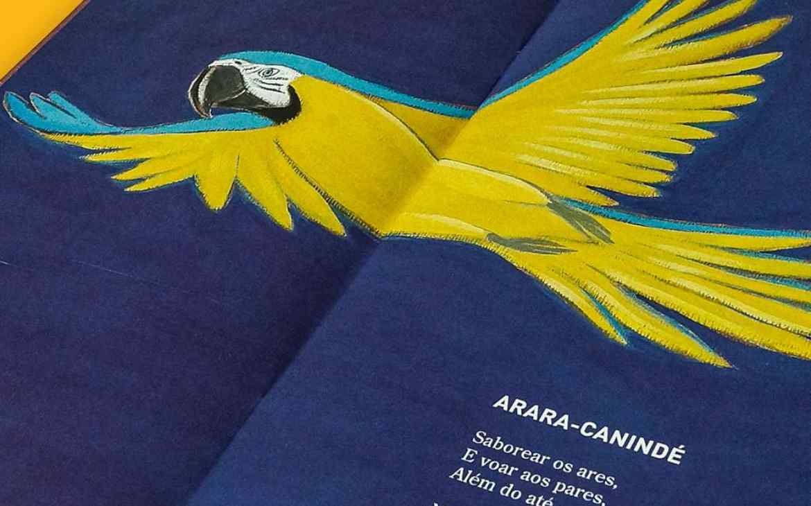 A importancia dos livros infantis sobre a fauna e flora brasileiras. Livro Boniteza Silvestre capa