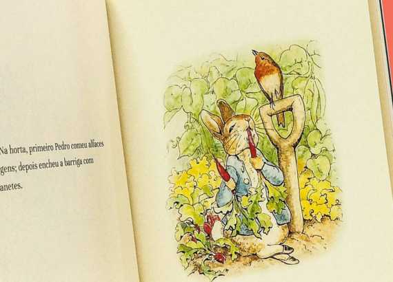 Alem de Pedro Coelho livros de Beatrix Potter A historia de Pedro Coelho2