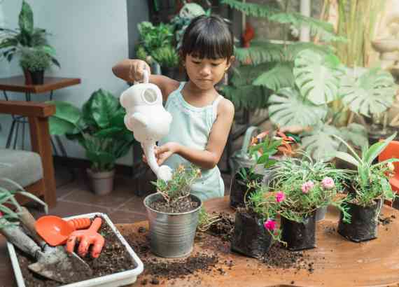 10 ideias de presentes de Natal para criancas. Kit jardinagem