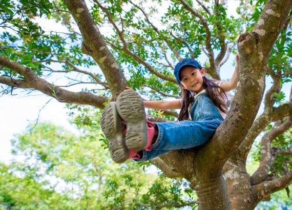 Dicas e ideias simples para aproximar as criancas da natureza Escalar arvores 1