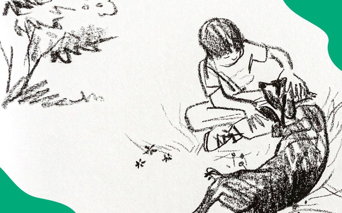 O livro infantil precisa ser colorido? 9 colorido