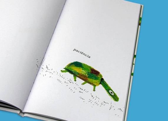 5 mentiras sobre ilustracoes em livros infantis meio. Imagem do livro Tartarugas