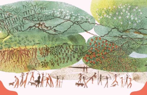 Você sabia que a Amazônia foi plantada por povos indígenas_capa. Imagem do livro Kaaliawiri