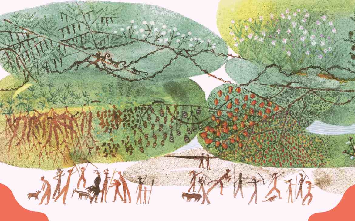 Você sabia que a Amazônia foi plantada por povos indígenas_capa. Imagem do livro Kaaliawiri