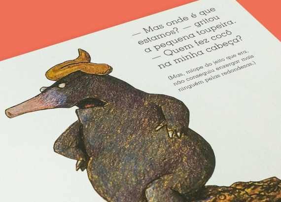 Imagem do livro "Da pequena toupeira que queria saber quem tinha feito cocô na cabeça dela", de Werner Holzwarth e Wolf Erlbruch. Crédito: Clube Quindim.