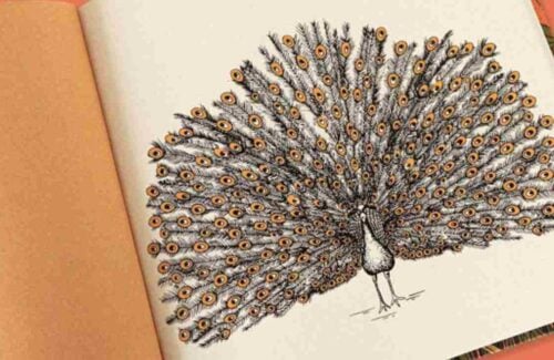 Livros com poucas palavras são só para crianças pequenas_capa. Imagem do livro Minha natureza