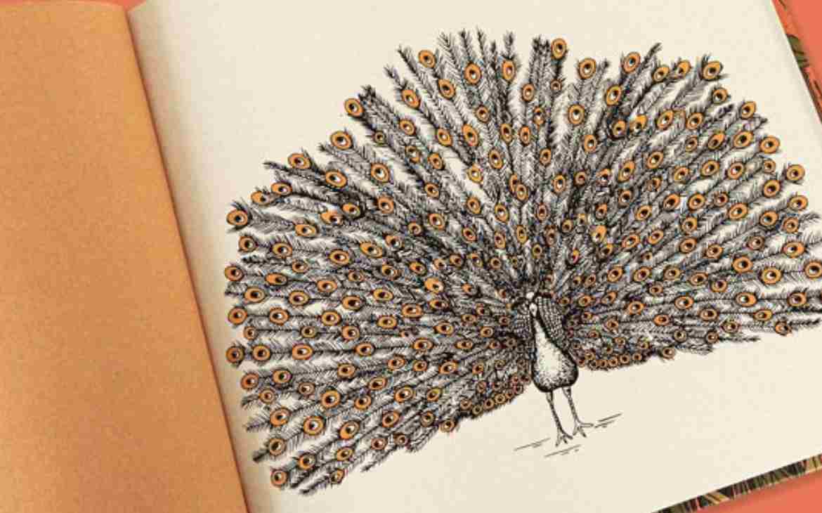 Livros com poucas palavras são só para crianças pequenas? 12 Livros com poucas palavras são só para crianças pequenas_capa. Imagem do livro Minha natureza