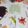 Volta às aulas: 8 livros que dialogam com os sentimentos que atravessam esse recomeço