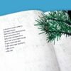 8 livros que são como sementes e germinam reflexões