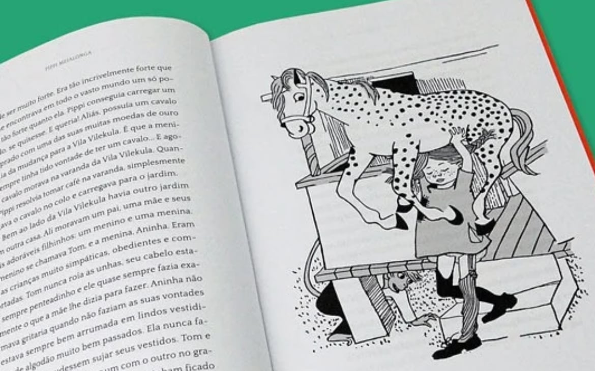 6 livros com protagonistas femininas fascinantes 10 Protagonistas femininas fascinantes